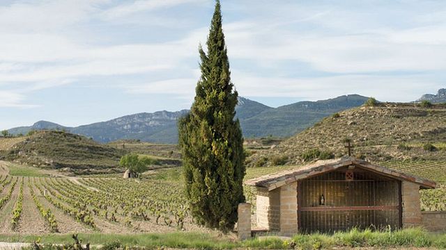 Bodegas Izadi