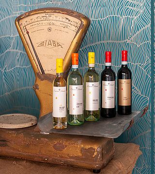 Explore Piedmont Wine & Vineyards at Cascina Torniero