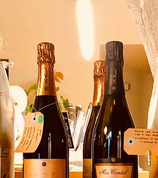 Mas Comtal Winery