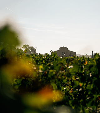 Tenuta di Montefoscoli