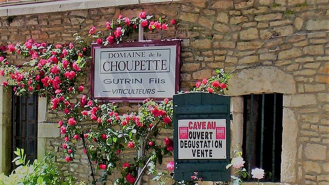 Domaine de la Choupette | Gutrin Fils