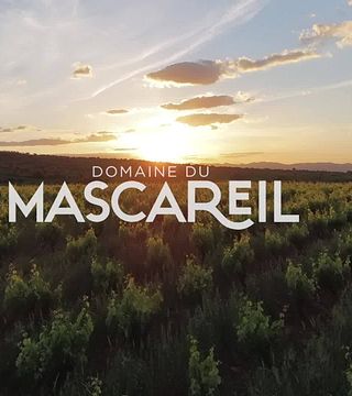 Languedoc-Roussillon: A Sensory Wine Journey