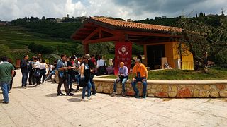 Weinprobe und Tour bei Boscaini Carlo