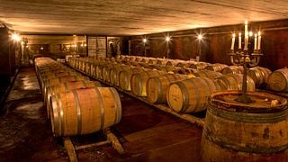 Besuch und Weinprobe mit Fleisch und Käse (Tapas)
