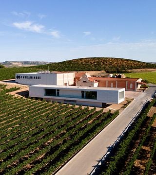 Dégustation de vins à Bodegas Carramimbre