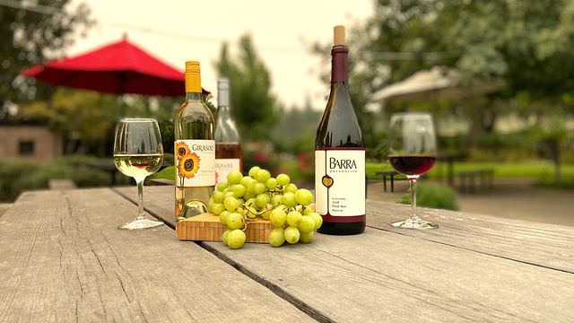 Degustazione di vini alla Barra di Mendocino