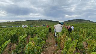 Cata de vinos premium en Domaine De La Galopiere