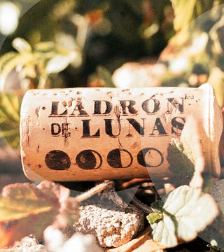 Ladron De Lunas Winery