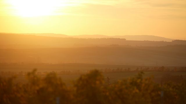Weinrieder Winery