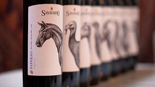Cata de vinos populares en la finca Sanavardo