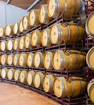 Bodegas Nodus