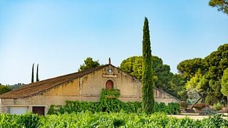 Dégustation et visite de vins au Château Virant