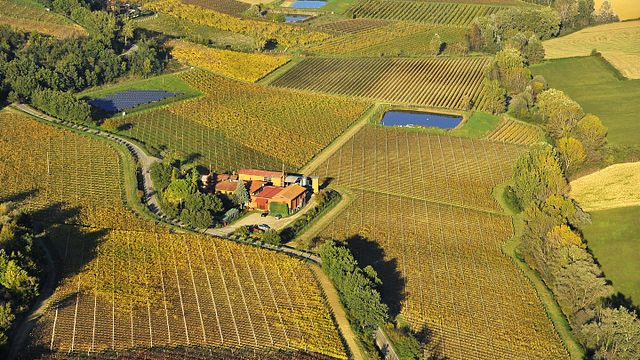 Weintour und Weinprobe bei Tre Monti in der Romagna
