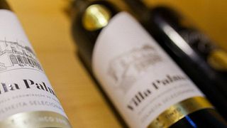 Degustazione di vini e tour presso Adega Cooperativa De Palmela