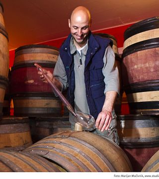 Primorska Seaside Wine & Vineyard Tour