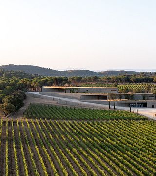 Assaggia 9 vini nel cuore dei vigneti dell'Empordá presso l'azienda vinicola Terra Remota