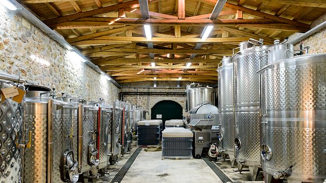 Visita alla Cantina e ai Vigneti con Tour Organizzati