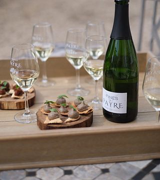 Château du Payre: A Legacy of Women in Winemaking