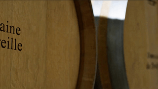 Cata de vinos en barricas (AOP Limoux blanco) y visita al Domaine de Treille