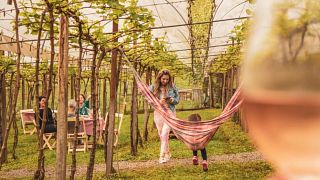 Degustazione Armonizzata Sotto le Vigne alla Vinicola Videiras Carraro