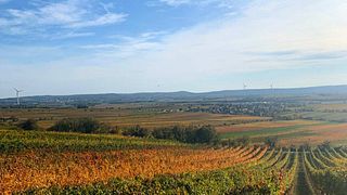 Cata de vinos premium en Weingut Walter Glatzer