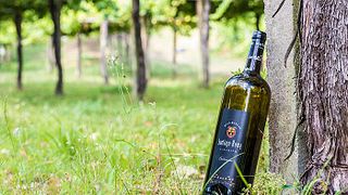 Bodegas Santiago Roma