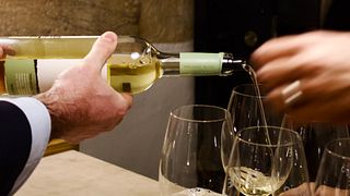 Alentejo Talha Wine & Heritage Tasting Tour