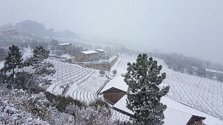 Altavia Winery