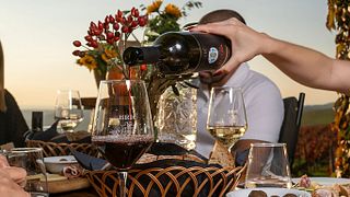 Brič Winery: A Gem in Slovenian Istria