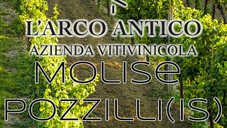Provsmakning med besök på vingården L'Arco Antico srl