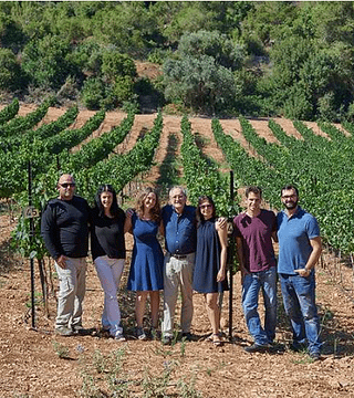 Familiarisez-vous avec les vignobles en terrasse