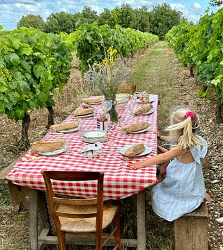 Degustazione di cognac e picnic al Domaine Bourgoin Cognac