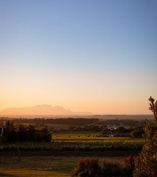Degustação de vinhos e passeio na Longridge Wine Estate