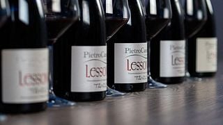 Degustação Vertical Vespolina | Degustação de Vinhos na Vinícola Pietro Cassina