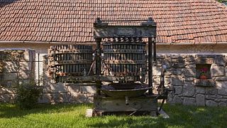 Degustazione di vini popolare a Přeslő