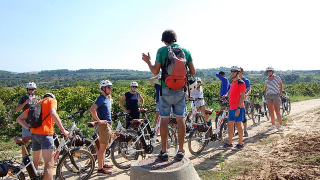Passeio de bicicleta guiado descobrindo pequenas vinícolas de Penedès 
