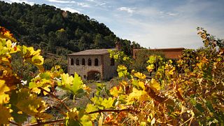 Fête des vendanges à l'ancienne