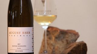 Weinprobe und Führung im Weingut August Eser