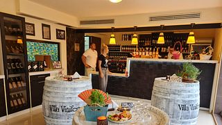 Villa Vinifera Winery