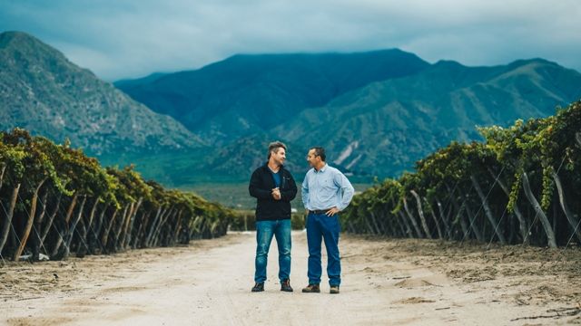 Bodega El Esteco