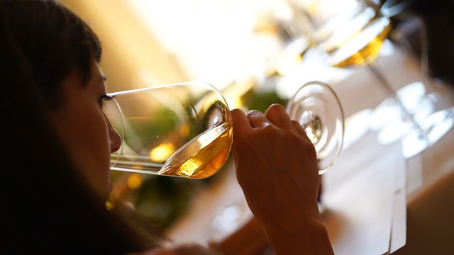 Tour privato 100% esperienza Garganega