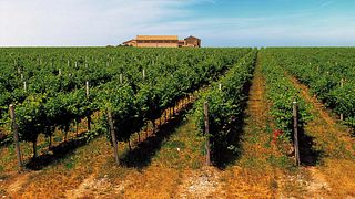 Cantine Lenotti