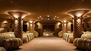 Dégustation de vins à la cave Mokos