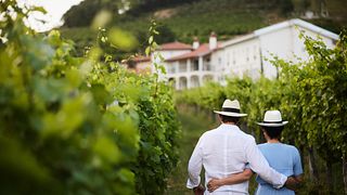 Tour exclusivo e privado de vinhos - Personalizado de acordo com seu gosto e desejos - Vinícola Peterc