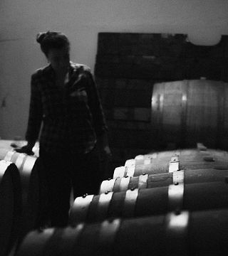 Vinprovning och rundtur på Lusenti vini