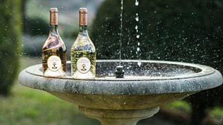Provence Wine Bliss at Château Constantin