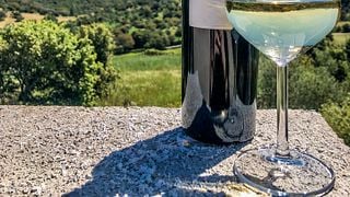 Degustazione di vini e tour a La Neula