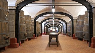 Wine tasting and tour at Dominio Di Bagnoli