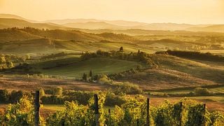 Chianti und Burgentour ab Siena