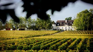 Château Bouscaut